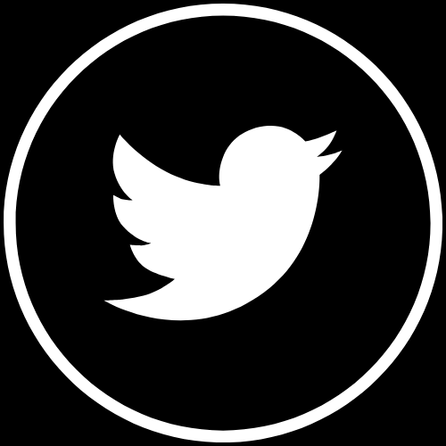 Twitter logo / link